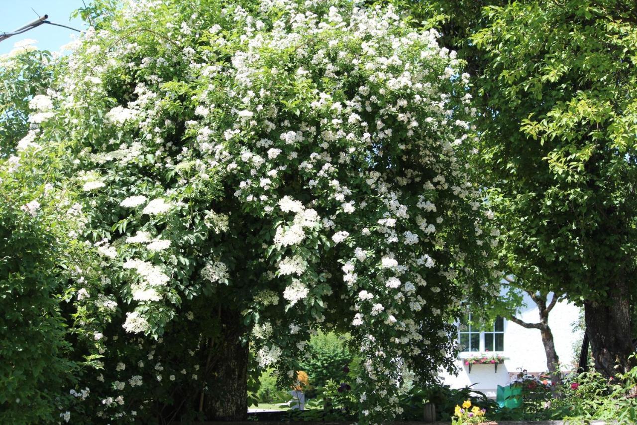 Fetznhof-Zuhaus Villa Grassau  Luaran gambar