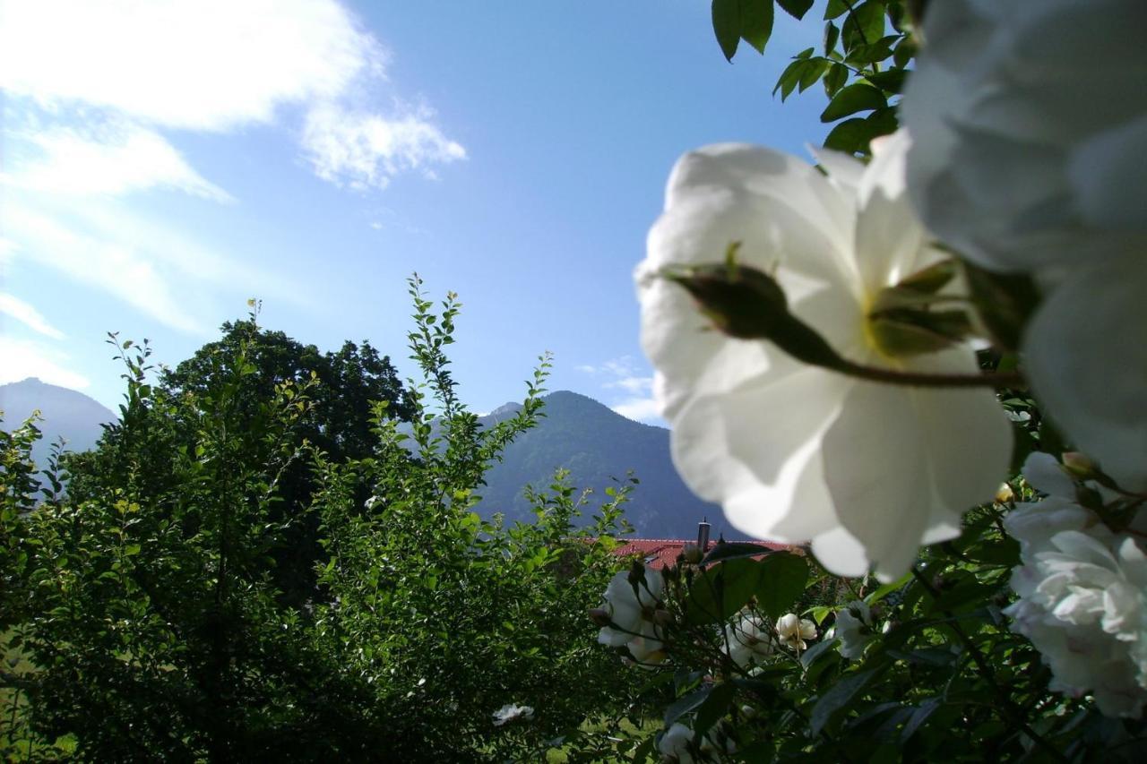 Fetznhof-Zuhaus Villa Grassau  Luaran gambar